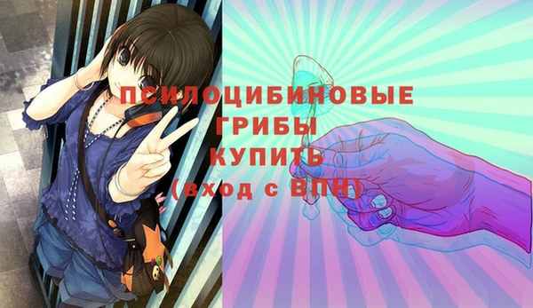 метадон Алексеевка