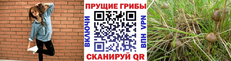 Галлюциногенные грибы ЛСД  Нея 